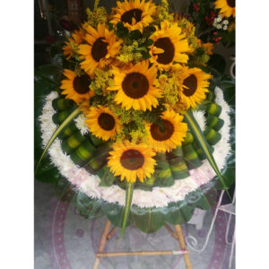 Corona Girasol